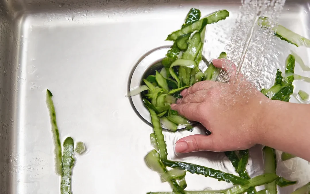 Home Watch Service Blog – Garbage Disposals