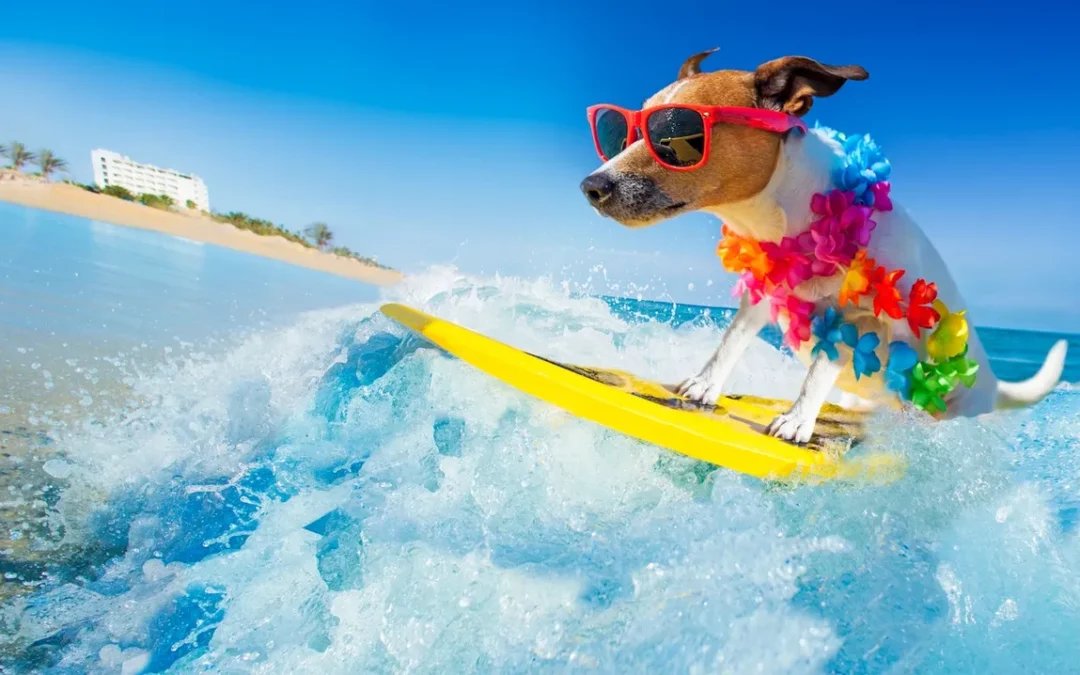 Home Safety Tips and Home Watch Services for Vacationers.