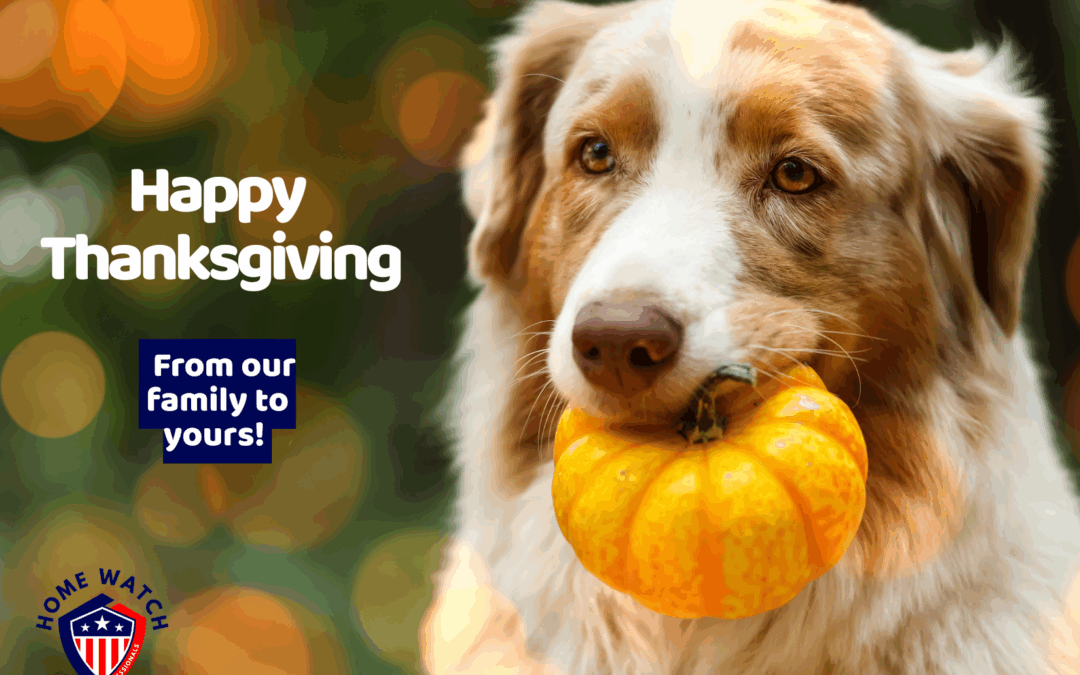 Why Thanksgiving Is the Perfect Time to Schedule Home Watch Services in Rochester, NY